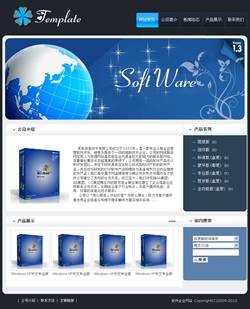 软件企业网站