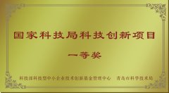 国家科技局科技创新项目一等奖